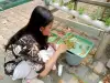 Lahan Urban Farming SMKN 59 Jakarta - Thumbnail 91