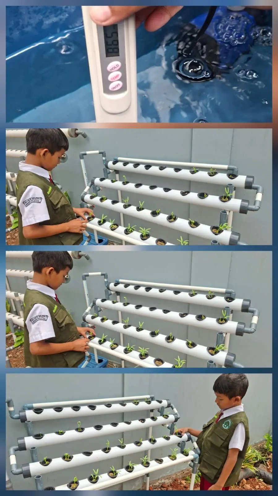 Lahan Urban Farming SDN Cipete Selatan 03