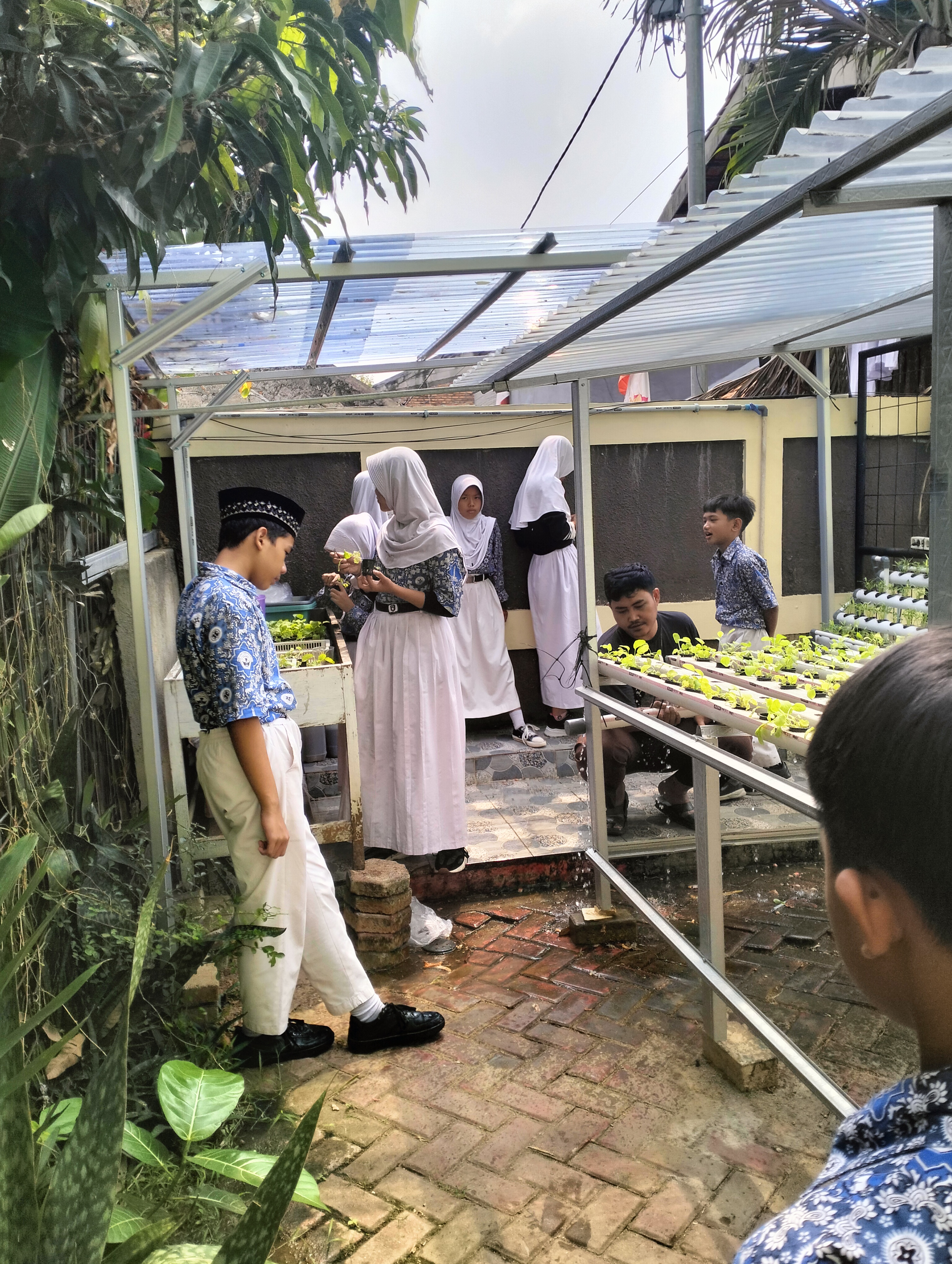 Lahan Urban Farming SDN Lenteng Agung 07 Jakarta - Gambar 99