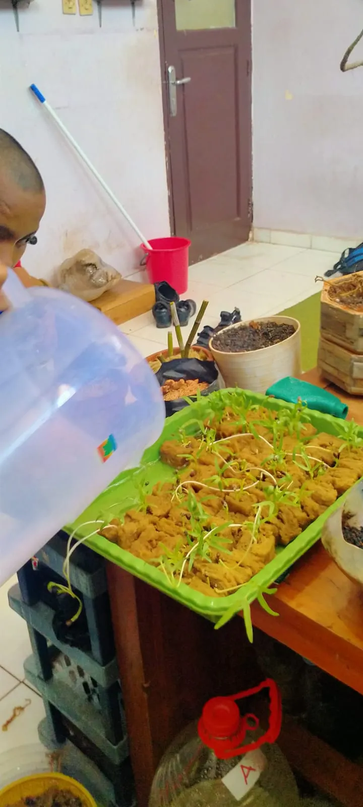 Lahan Urban Farming SLBN 01 Lebak Bulus - Gambar 70