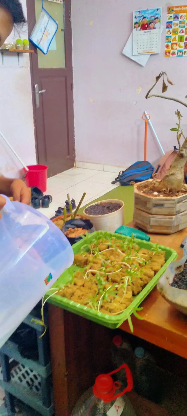 Lahan Urban Farming SLBN 01 Lebak Bulus - Gambar 71