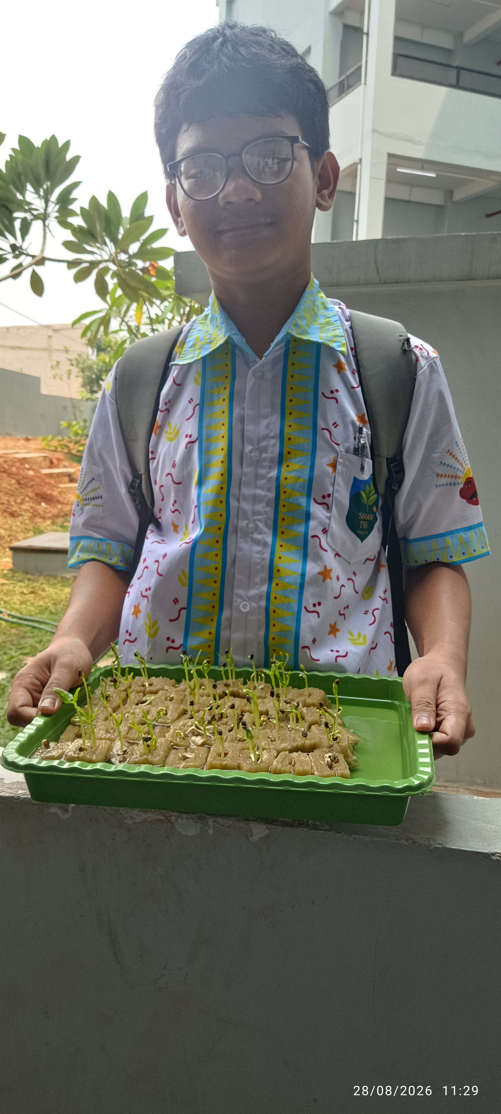 Lahan Urban Farming SMAN 116 Jakarta - Gambar 135