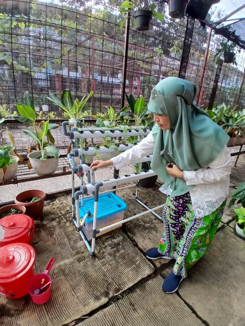Lahan Urban Farming SMAN 109 Jakarta - Gambar 218