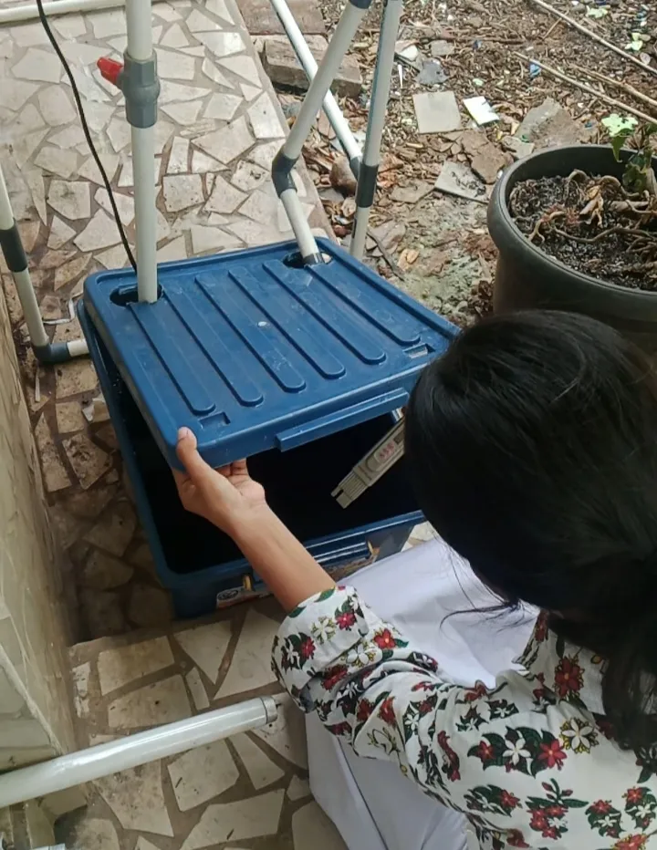 Lahan Urban Farming SMKN 20 Jakarta - Gambar 110