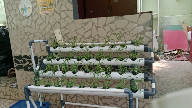 Lahan Urban Farming SMKN 20 Jakarta - Gambar 109