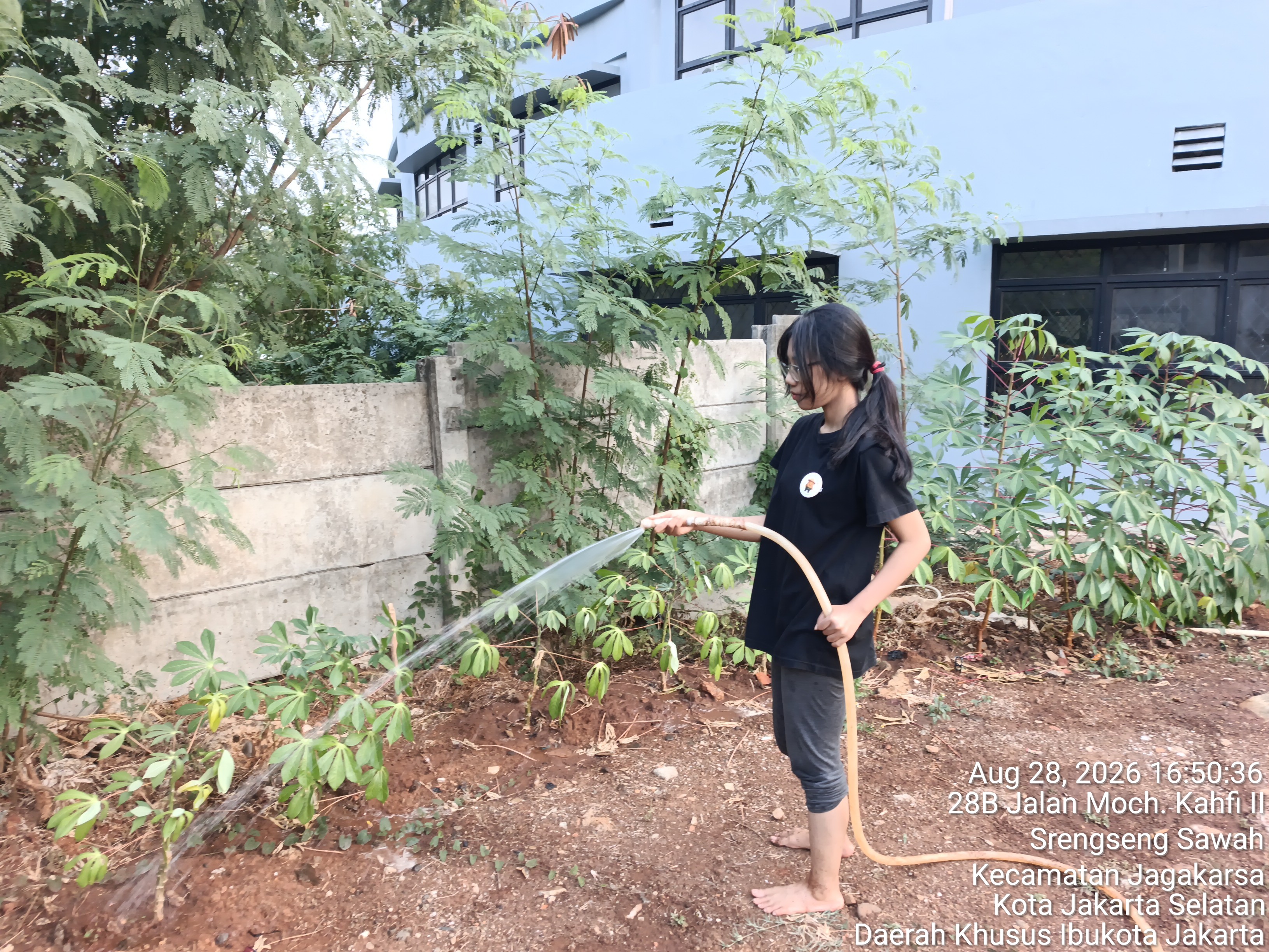KEBUN SMKN 74 JAGAKARSA JAKARTA SELATAN - Gambar 298