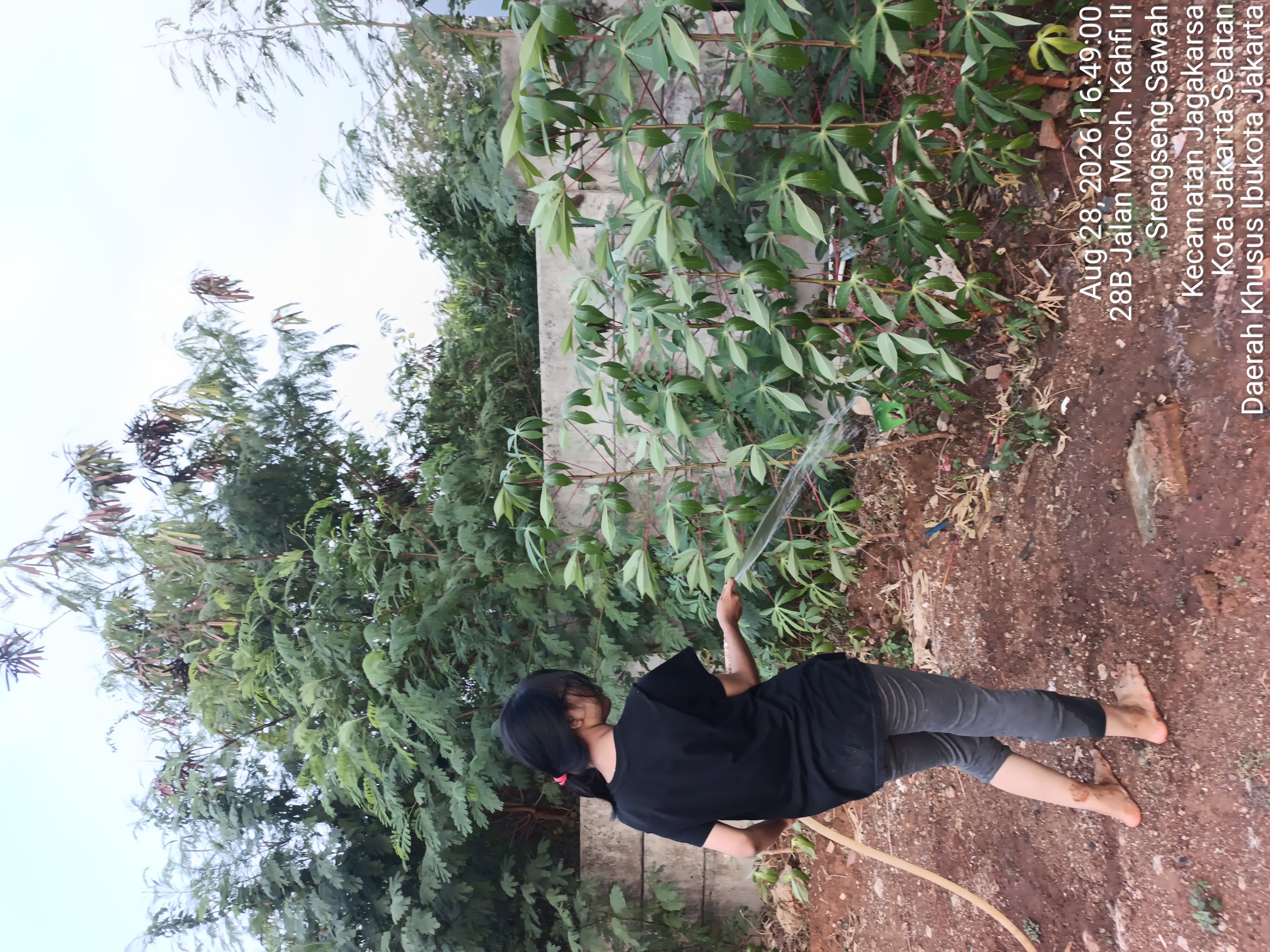 KEBUN SMKN 74 JAGAKARSA JAKARTA SELATAN - Gambar 297