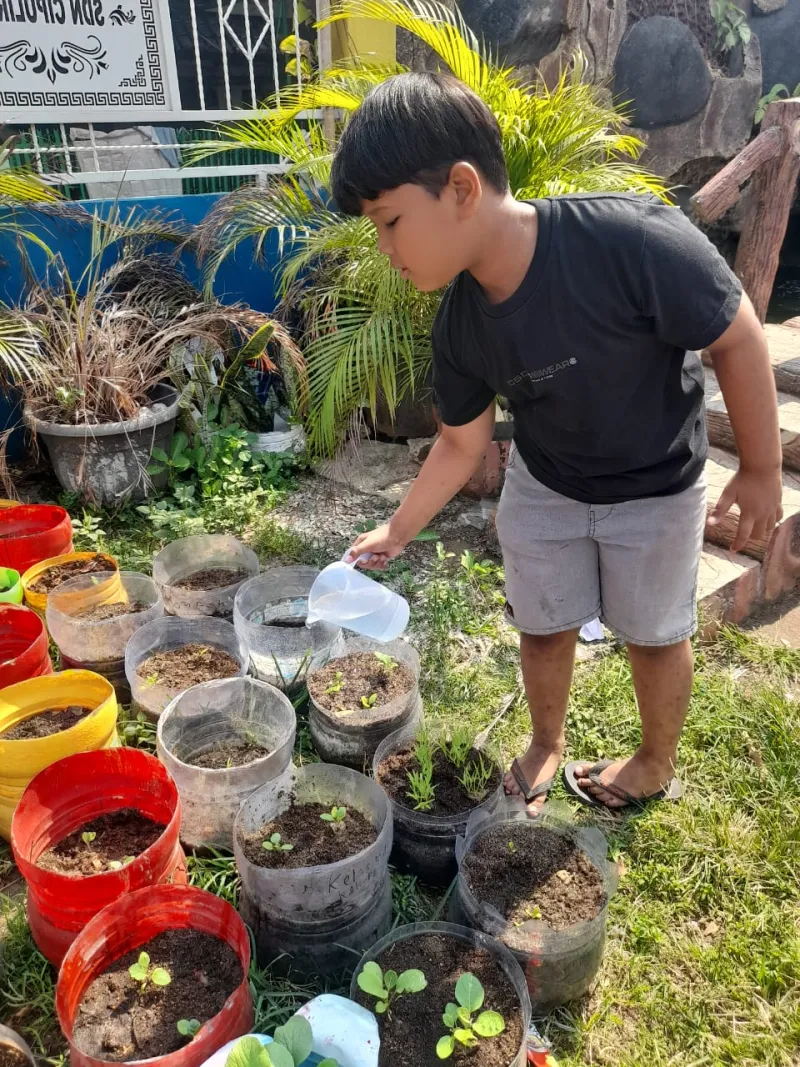 Lahan Urban Farming SDN Cipulir 03 - Gambar 66