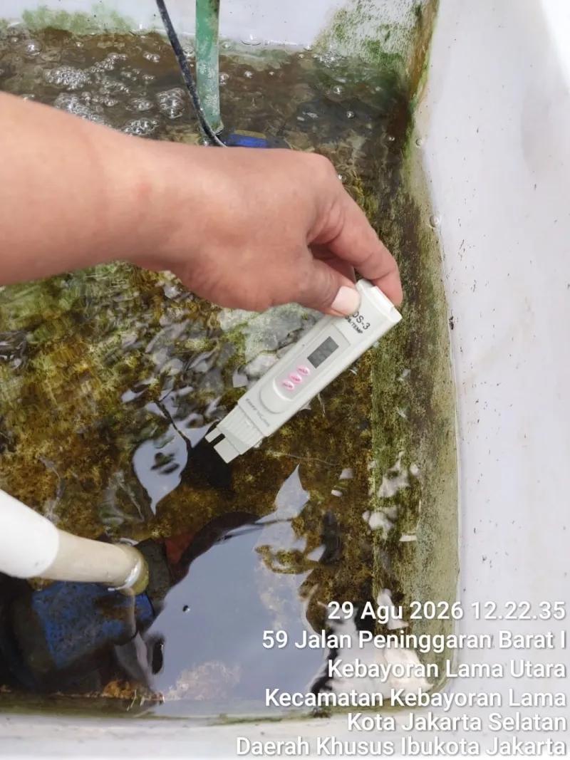 Lahan Urban Farming SMKN 59 Jakarta - Gambar 221