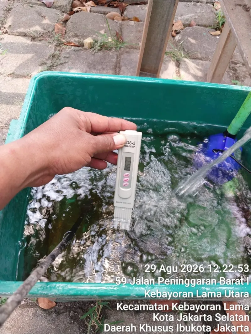 Lahan Urban Farming SMKN 59 Jakarta - Gambar 220