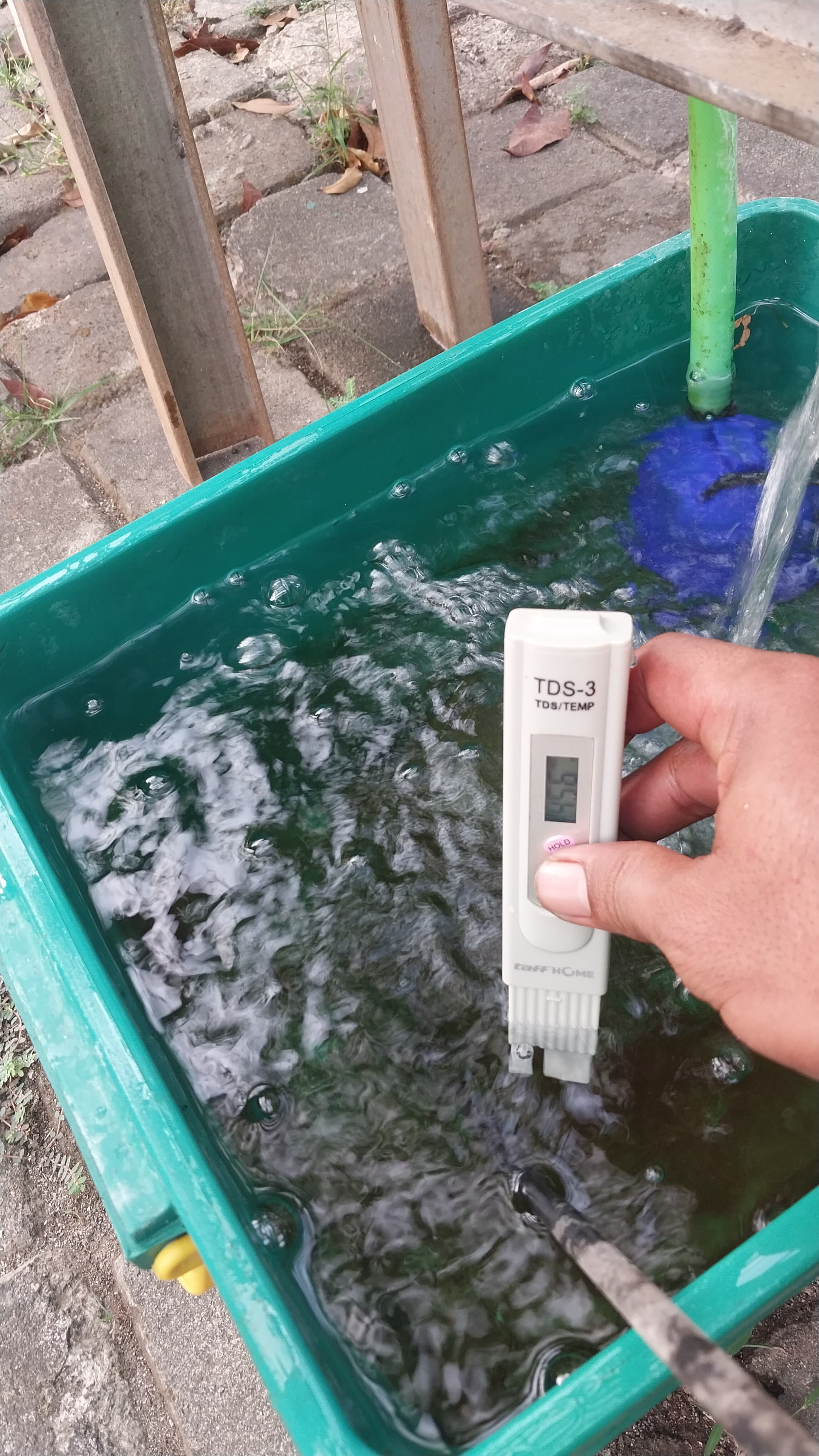 Lahan Urban Farming SMKN 59 Jakarta - Gambar 219