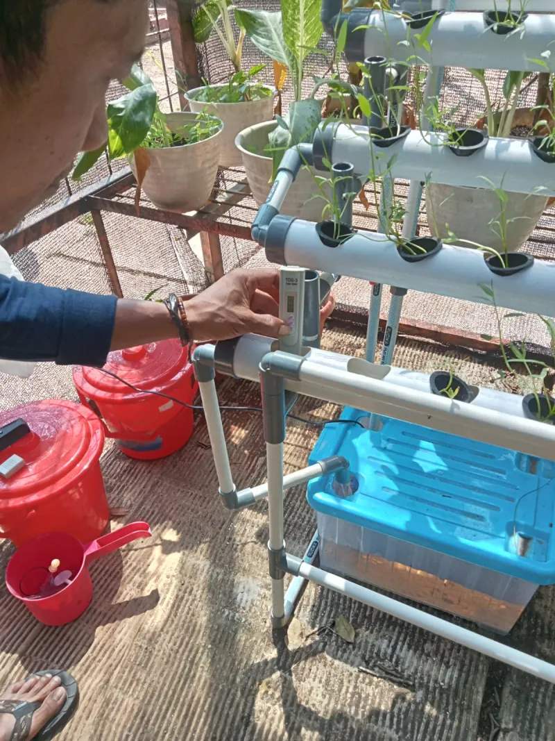 Lahan Urban Farming SMAN 109 Jakarta - Gambar 215