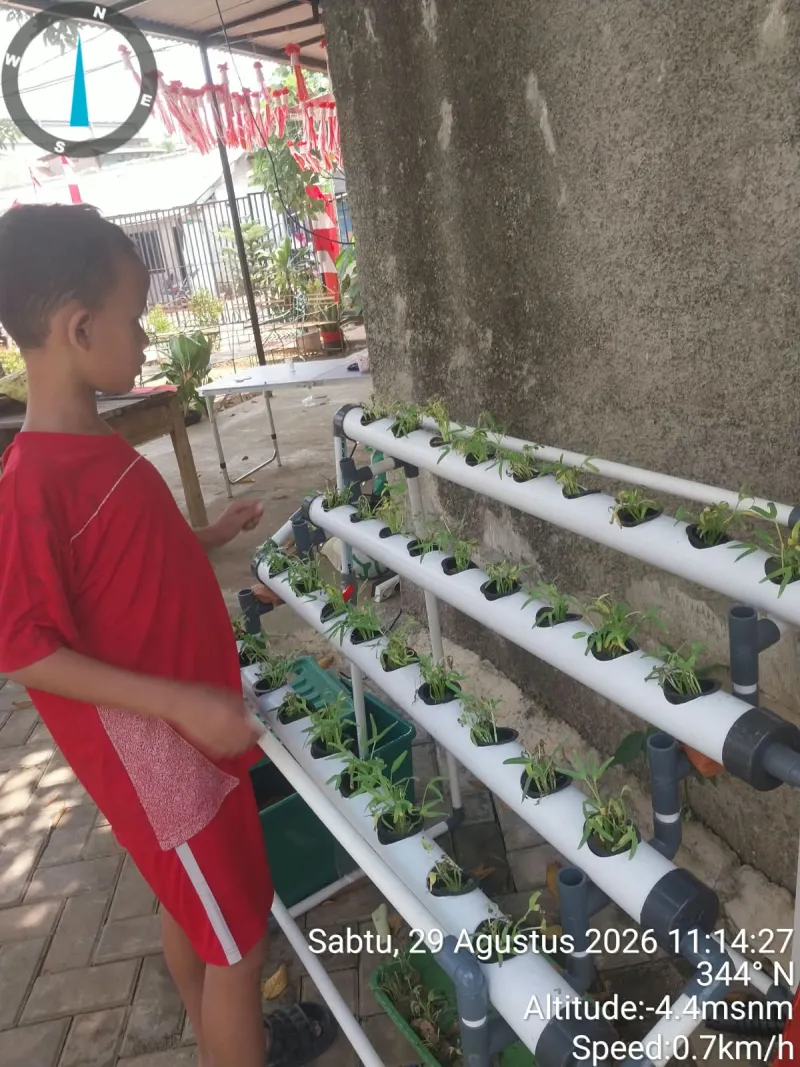 Lahan Urban Farming SDN Bintaro 09 - Gambar 163