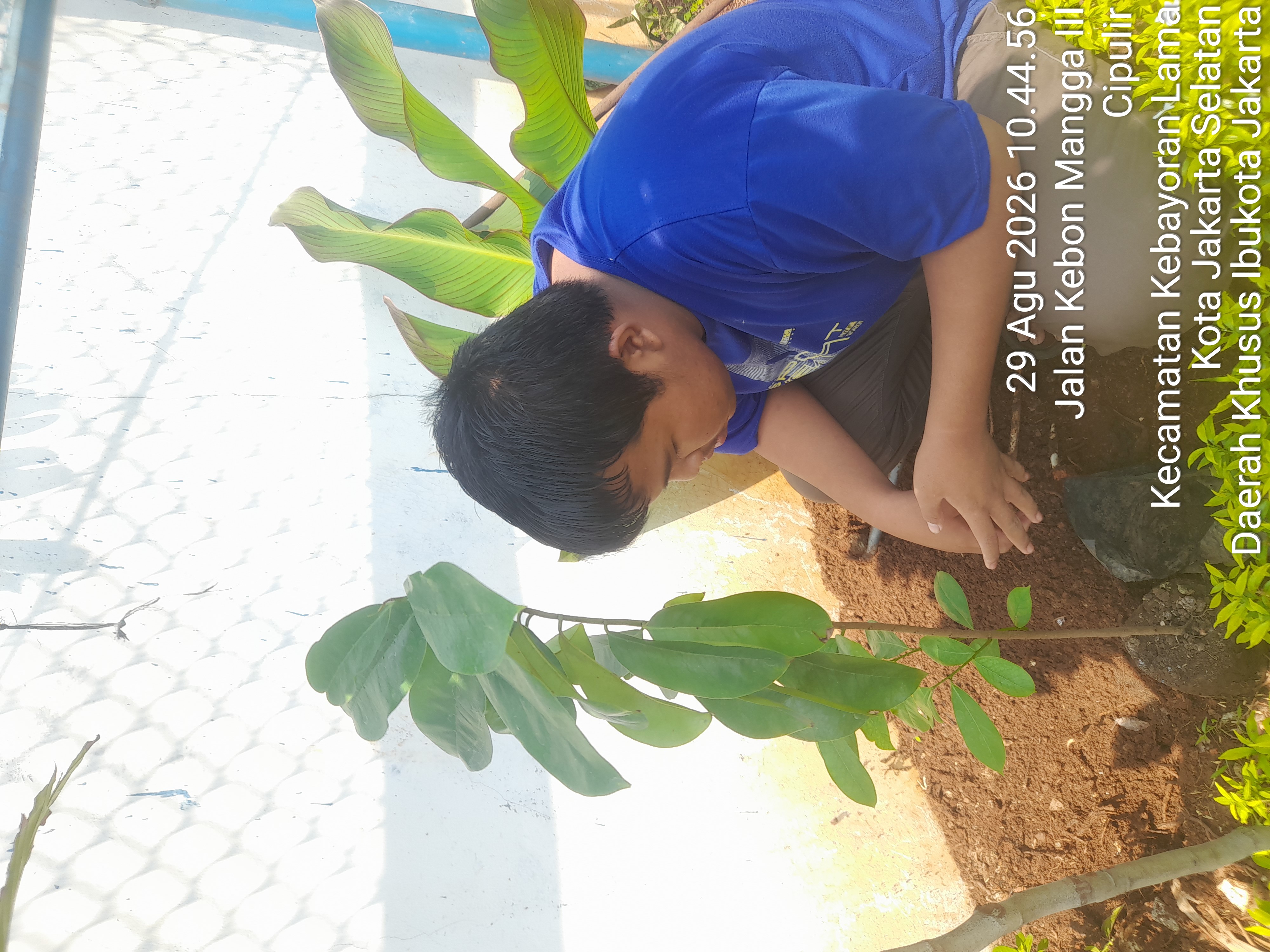 Lahan Urban Farming SMKN 43 Jakarta - Gambar 189