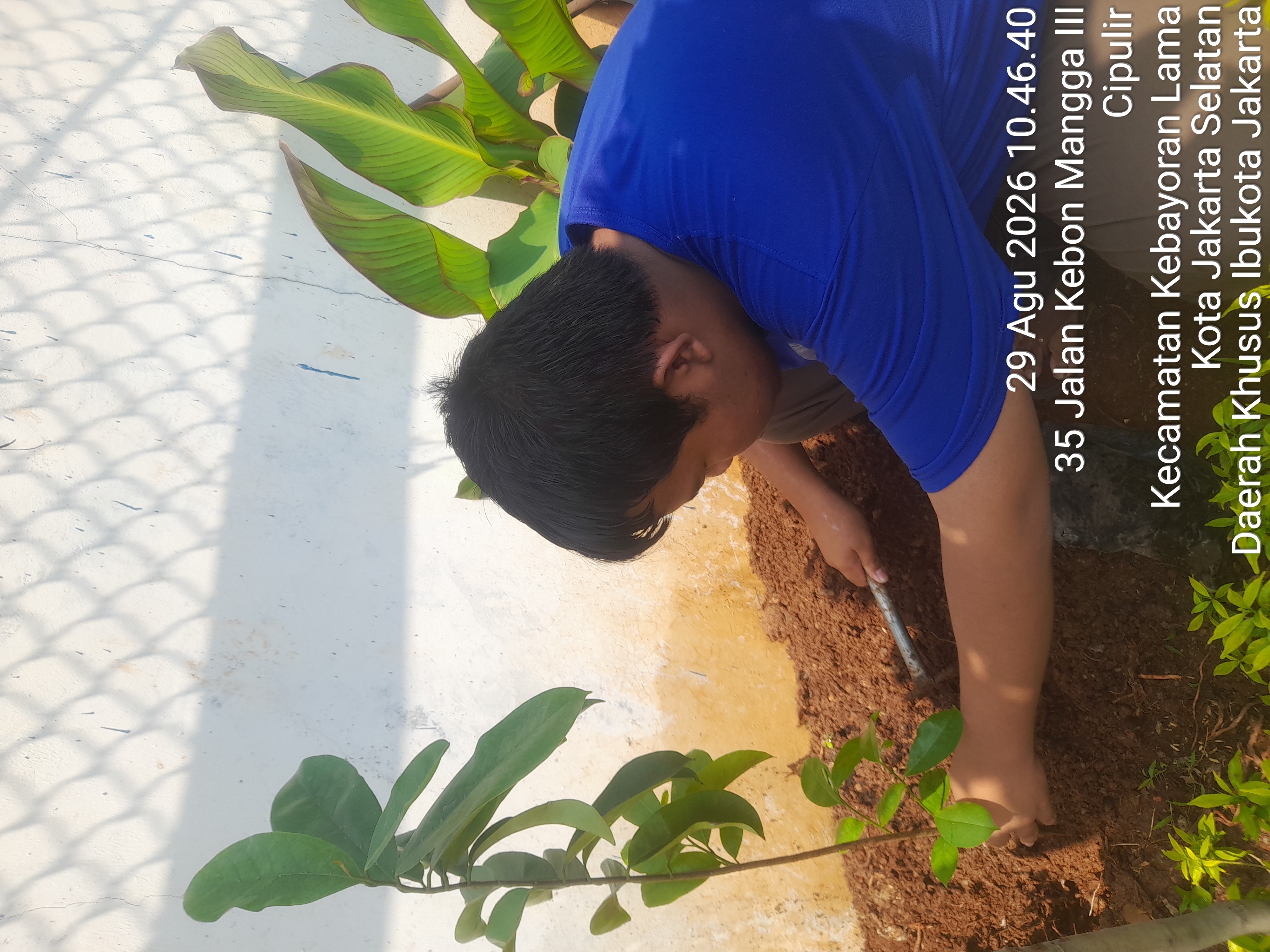 Lahan Urban Farming SMKN 43 Jakarta - Gambar 190