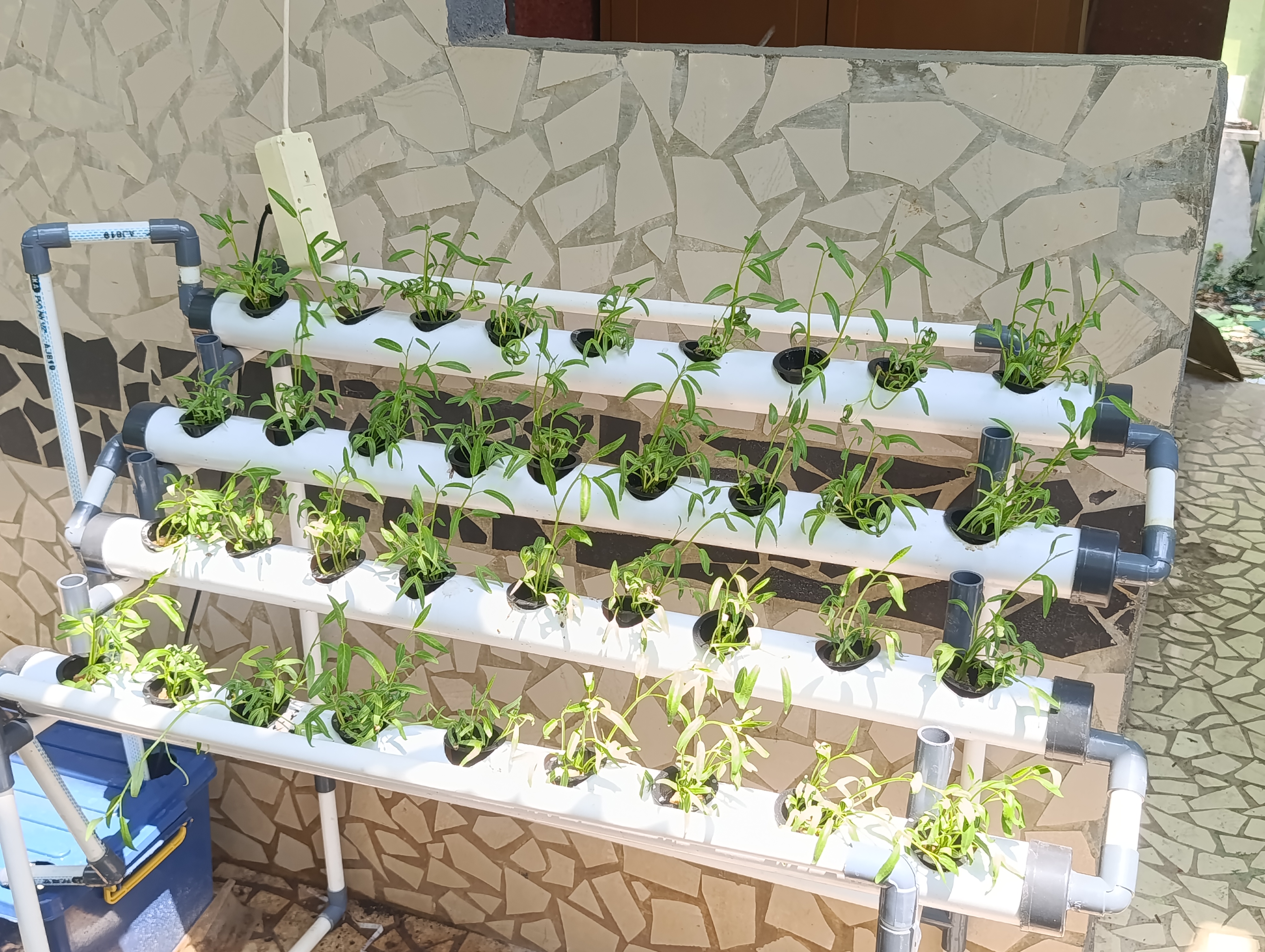 Lahan Urban Farming SMKN 20 Jakarta - Gambar 106