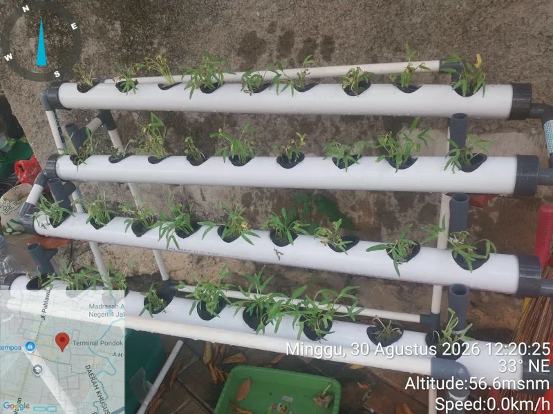 Lahan Urban Farming SDN Bintaro 09 - Gambar 162