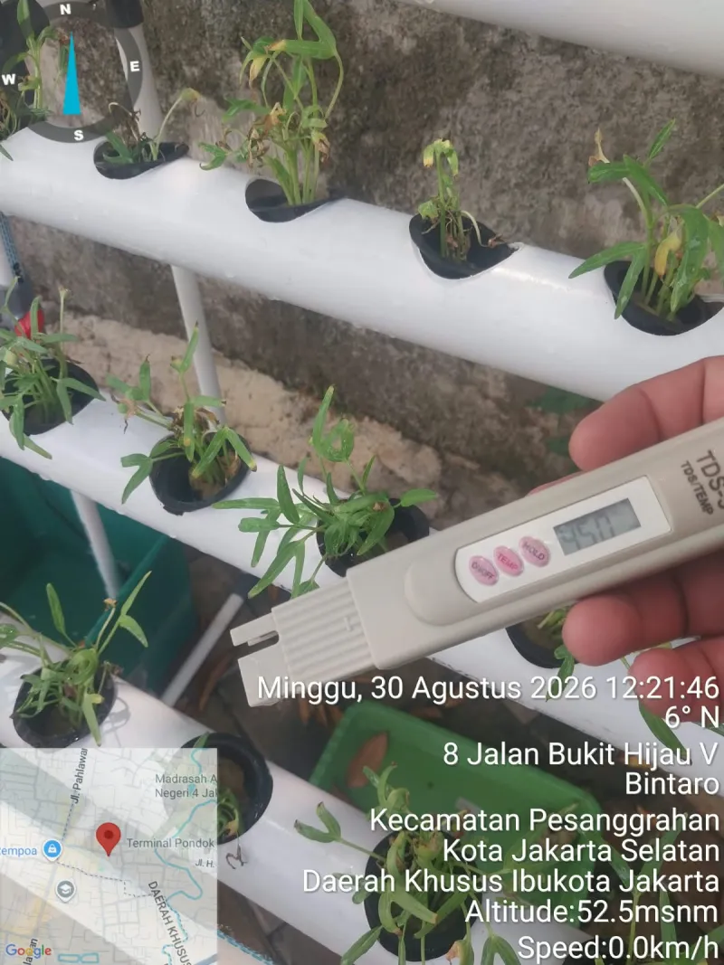 Lahan Urban Farming SDN Bintaro 09 - Gambar 161