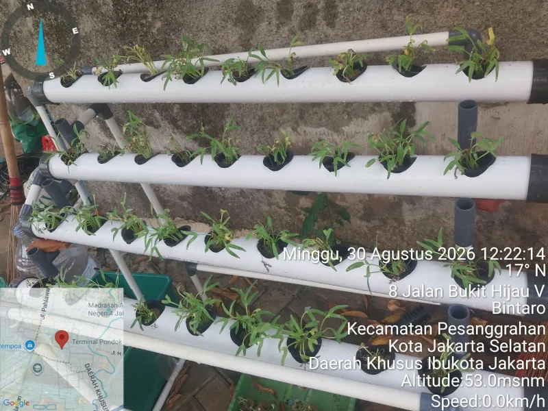 Lahan Urban Farming SDN Bintaro 09 - Gambar 160