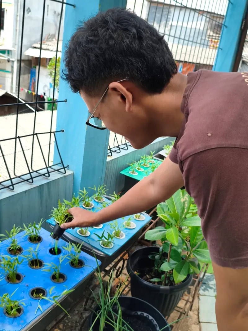 Lahan Urban Farming SMKN 43 Jakarta - Gambar 187