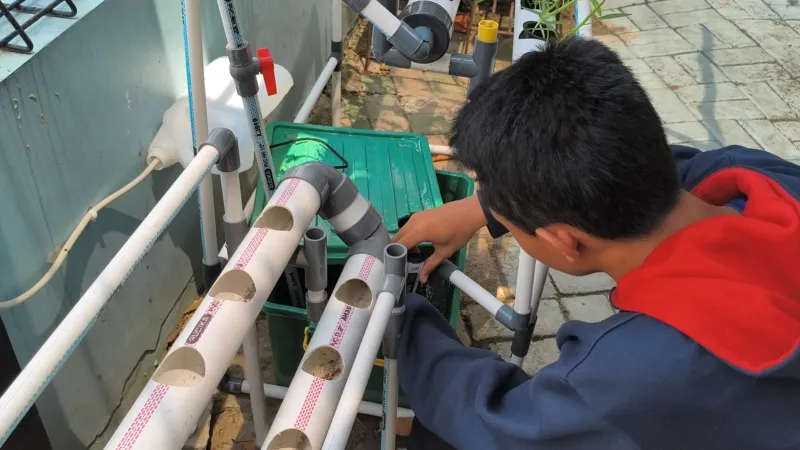 Lahan Urban Farming SMKN 43 Jakarta - Gambar 188