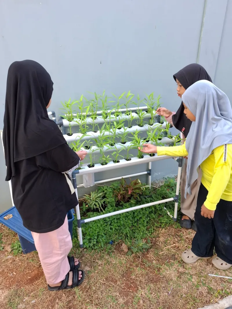 Lahan Urban Farming SDN Cipete Selatan 03 - Gambar 107