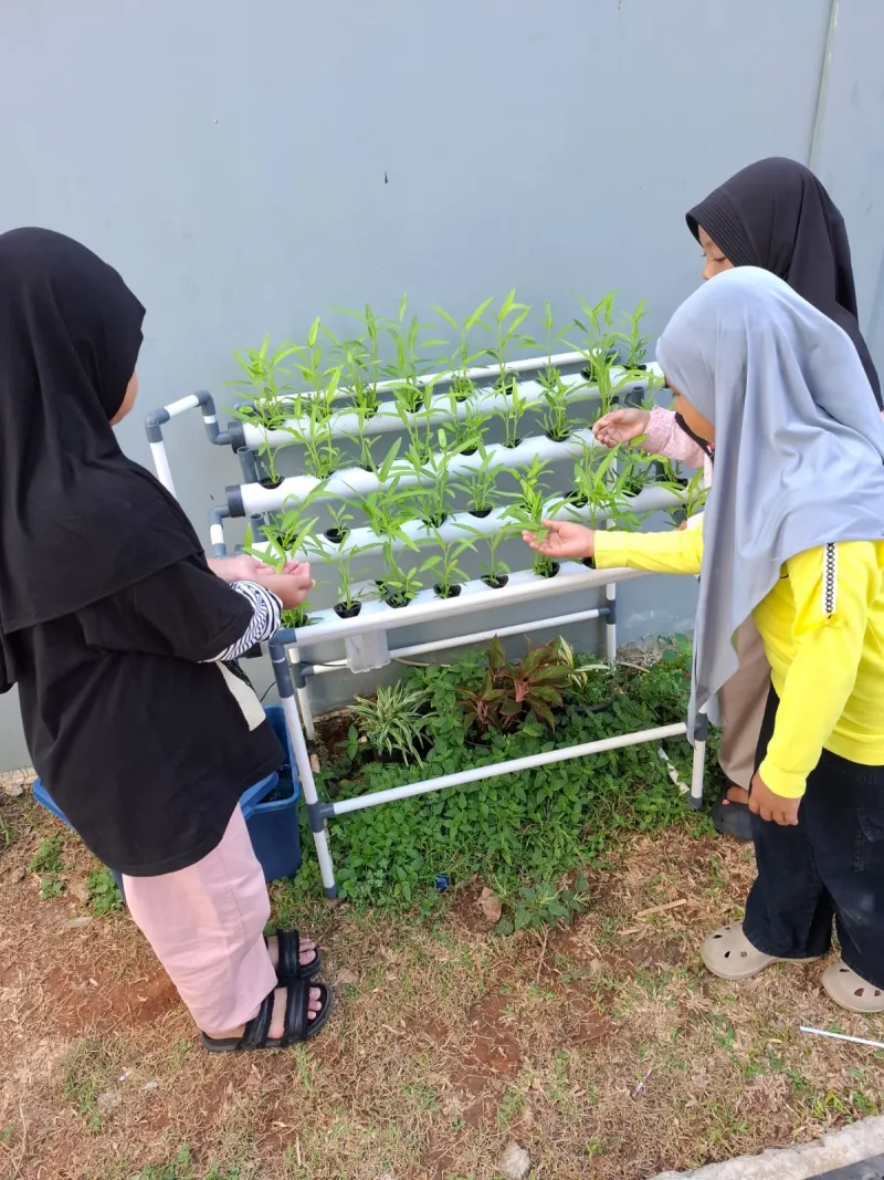 Lahan Urban Farming SDN Cipete Selatan 03 - Gambar 106