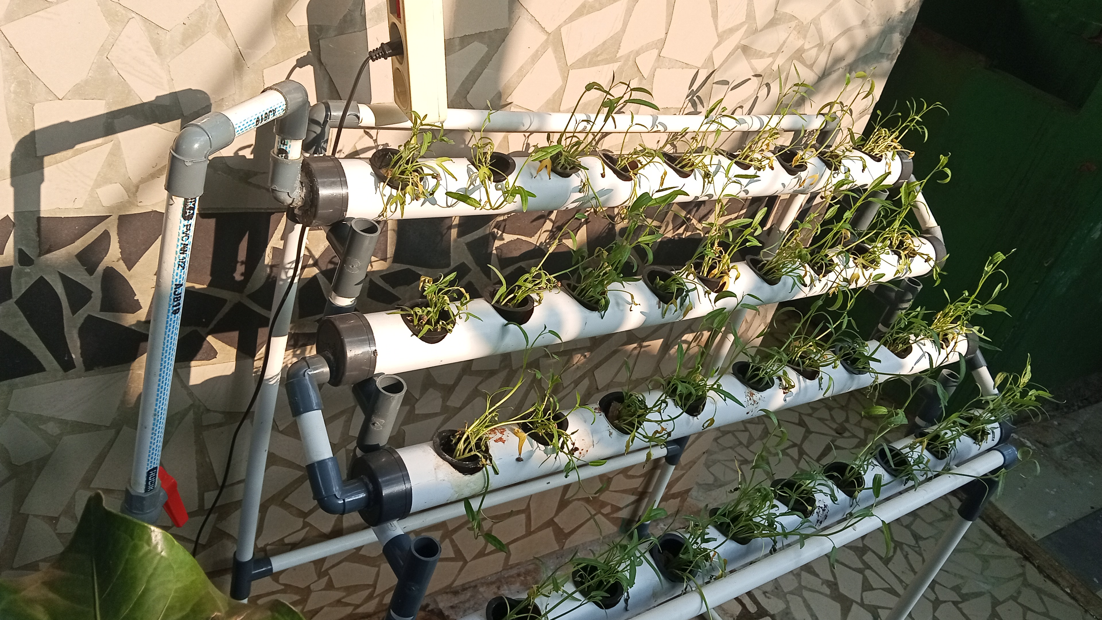 Lahan Urban Farming SMKN 20 Jakarta - Gambar 104