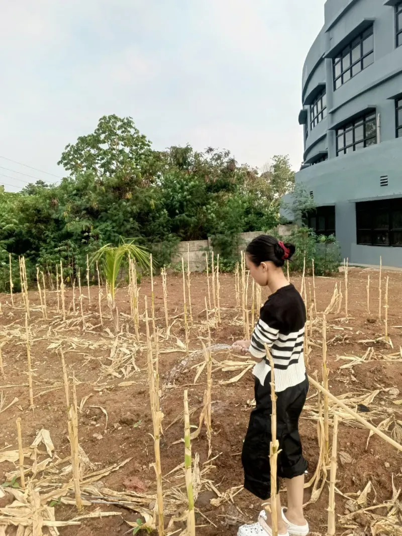KEBUN SMKN 74 JAGAKARSA JAKARTA SELATAN - Gambar 289