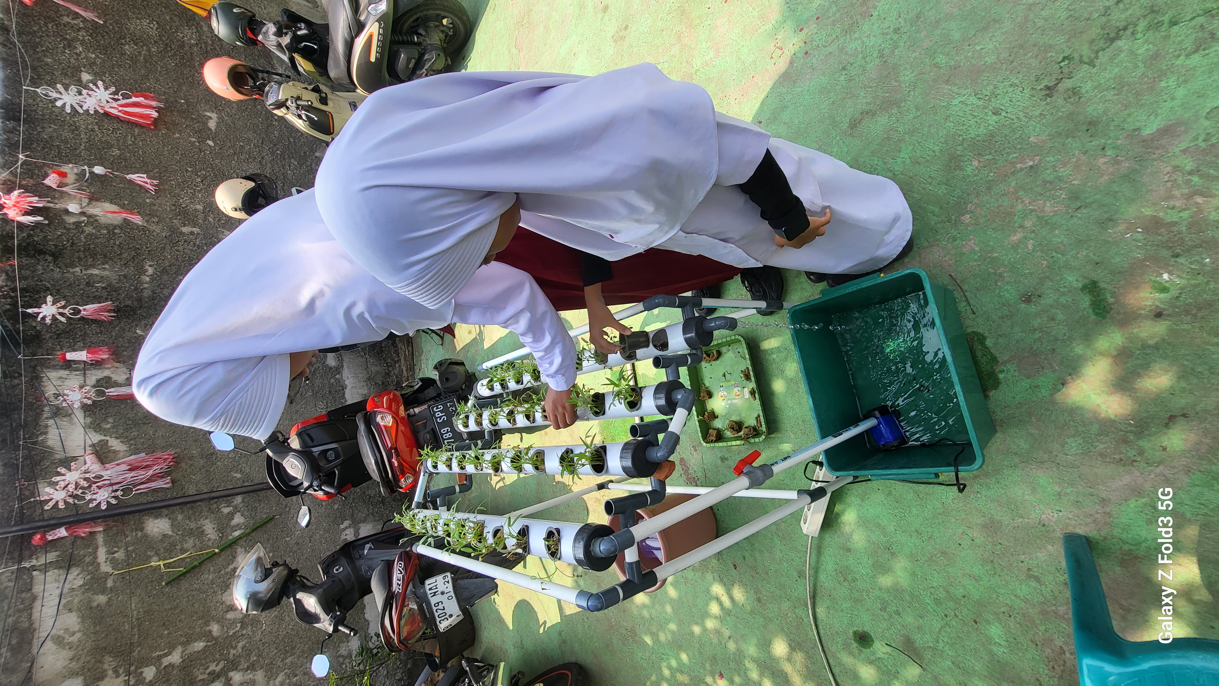 Lahan Urban Farming SDN Bintaro 09 - Gambar 157