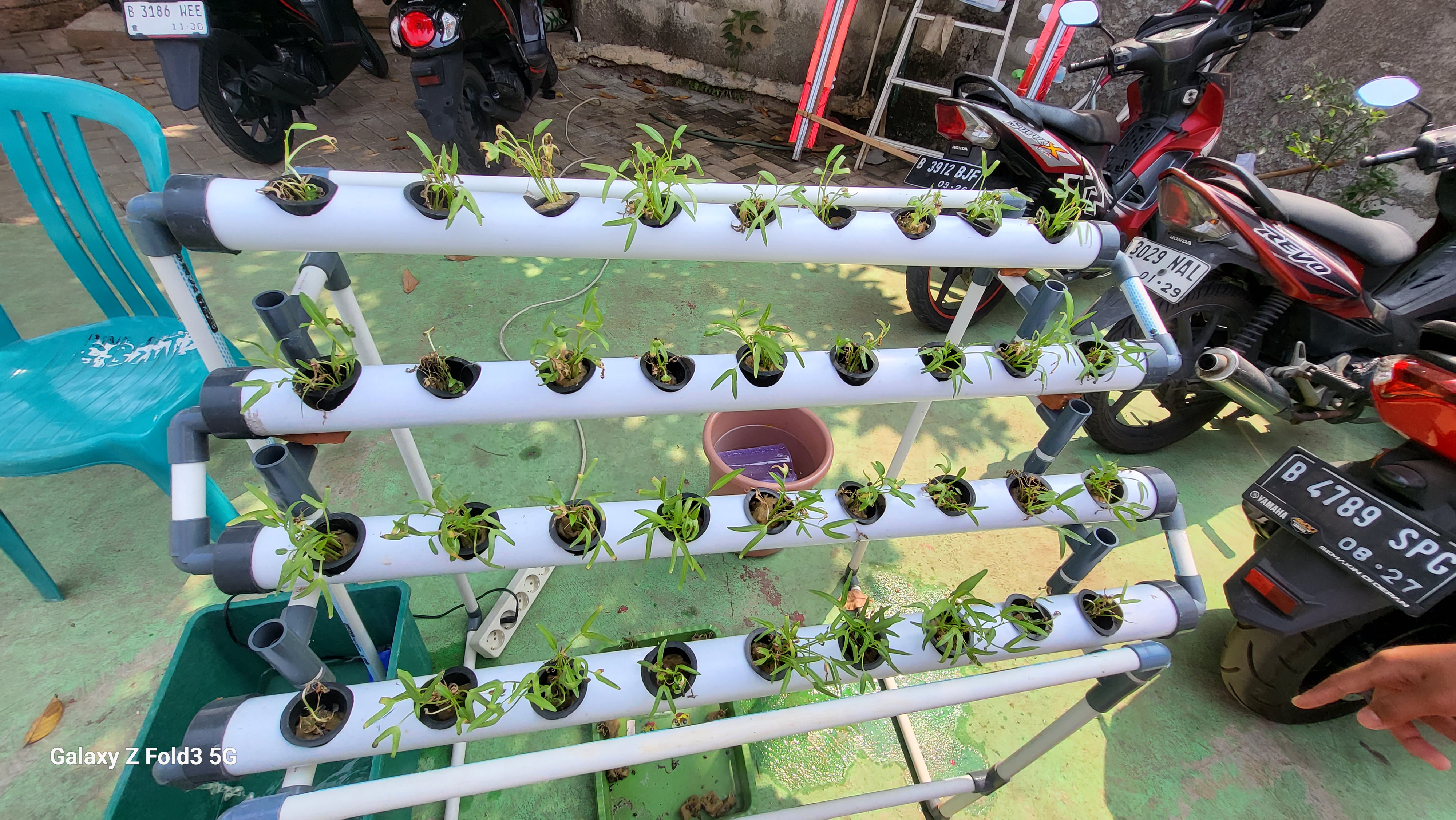 Lahan Urban Farming SDN Bintaro 09 - Gambar 158