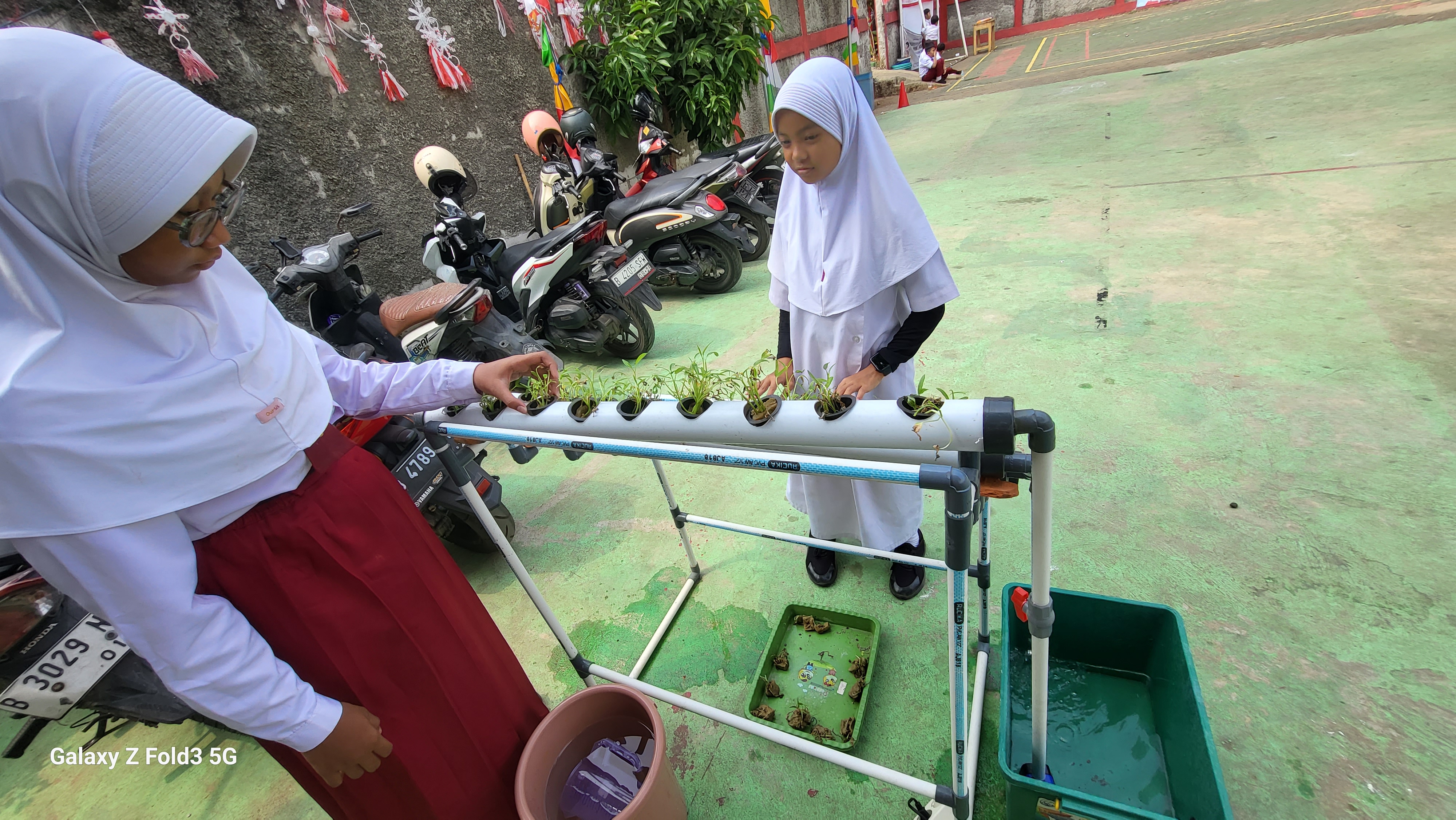 Lahan Urban Farming SDN Bintaro 09 - Gambar 159