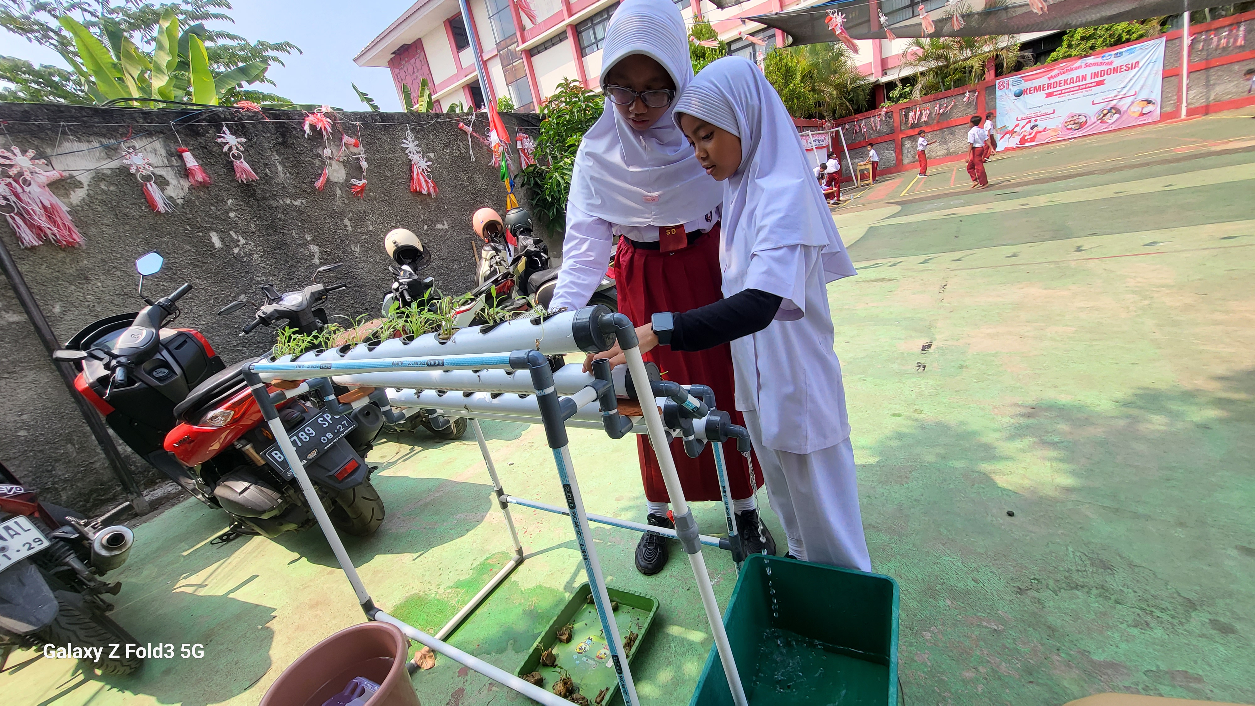 Lahan Urban Farming SDN Bintaro 09 - Gambar 156