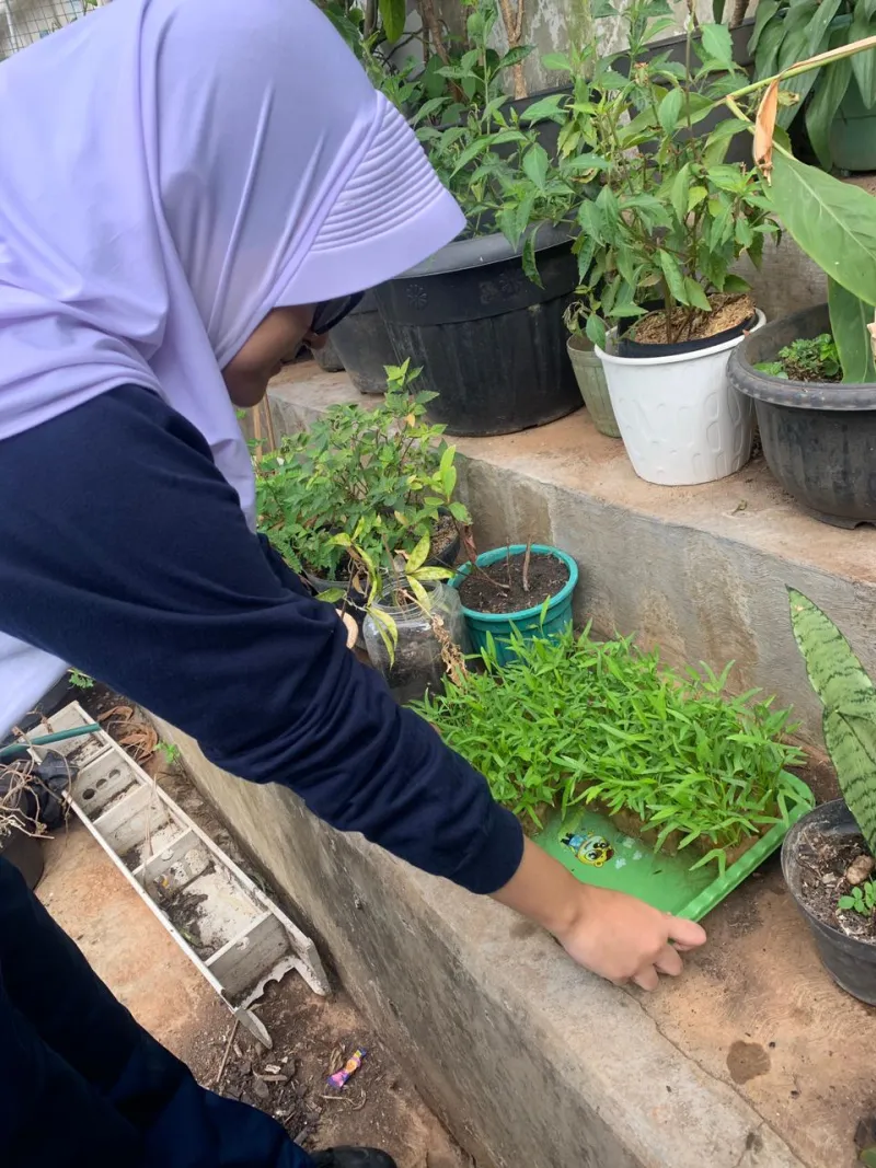 Lahan Urban Farming SMAN 63 Jakarta - Gambar 84