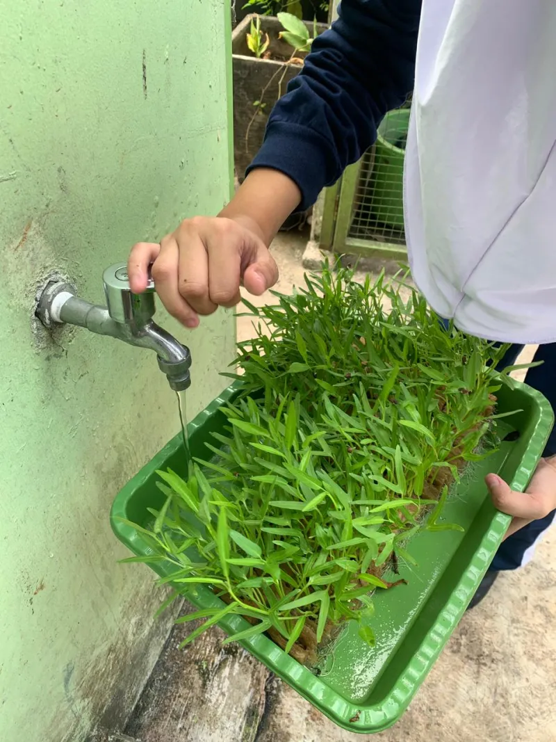 Lahan Urban Farming SMAN 63 Jakarta - Gambar 83