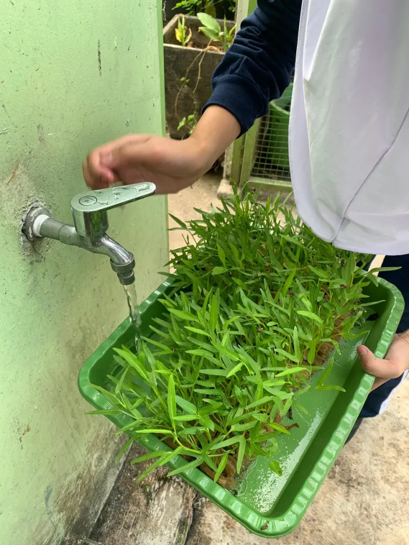 Lahan Urban Farming SMAN 63 Jakarta - Gambar 82