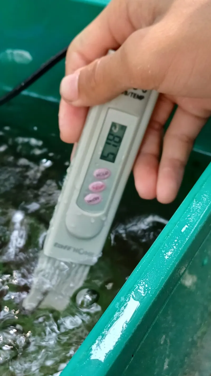 Lahan Urban Farming SMKN 59 Jakarta - Gambar 214