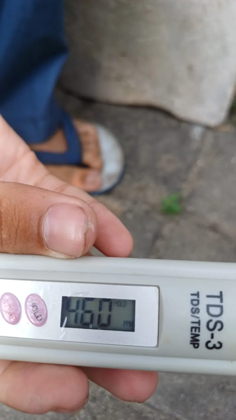 Lahan Urban Farming SMKN 59 Jakarta - Gambar 213