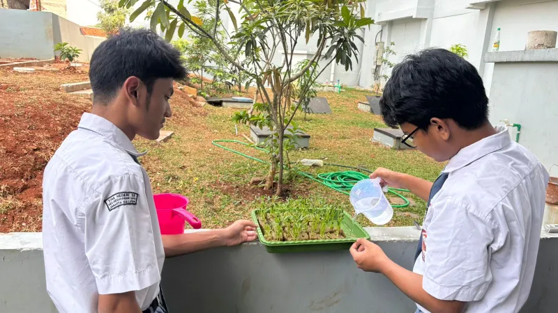 Lahan Urban Farming SMAN 116 Jakarta - Gambar 131