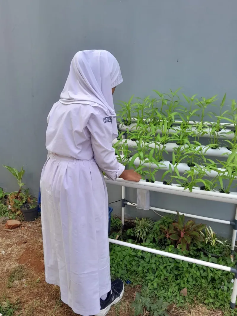 Lahan Urban Farming SDN Cipete Selatan 03 - Gambar 102