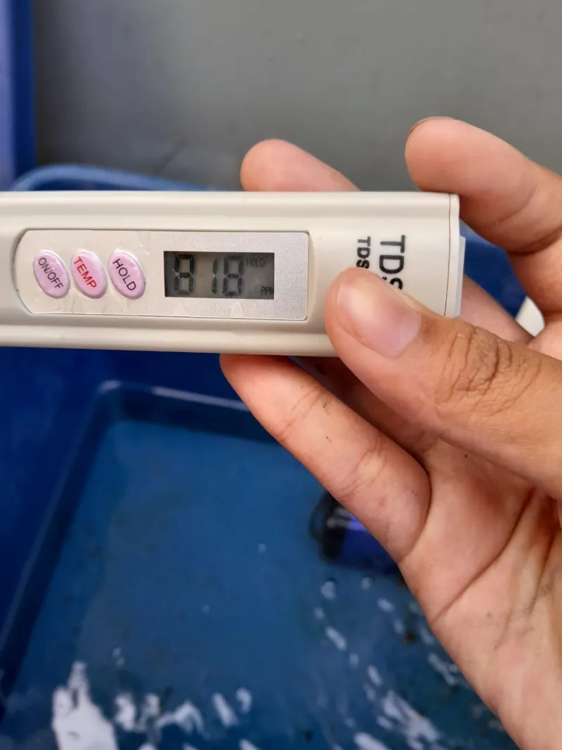 Lahan Urban Farming SDN Cipete Selatan 03 - Gambar 104