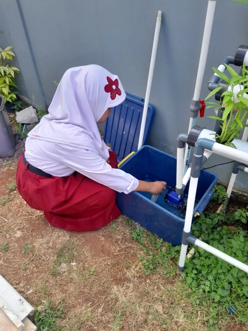 Lahan Urban Farming SDN Cipete Selatan 03 - Gambar 103
