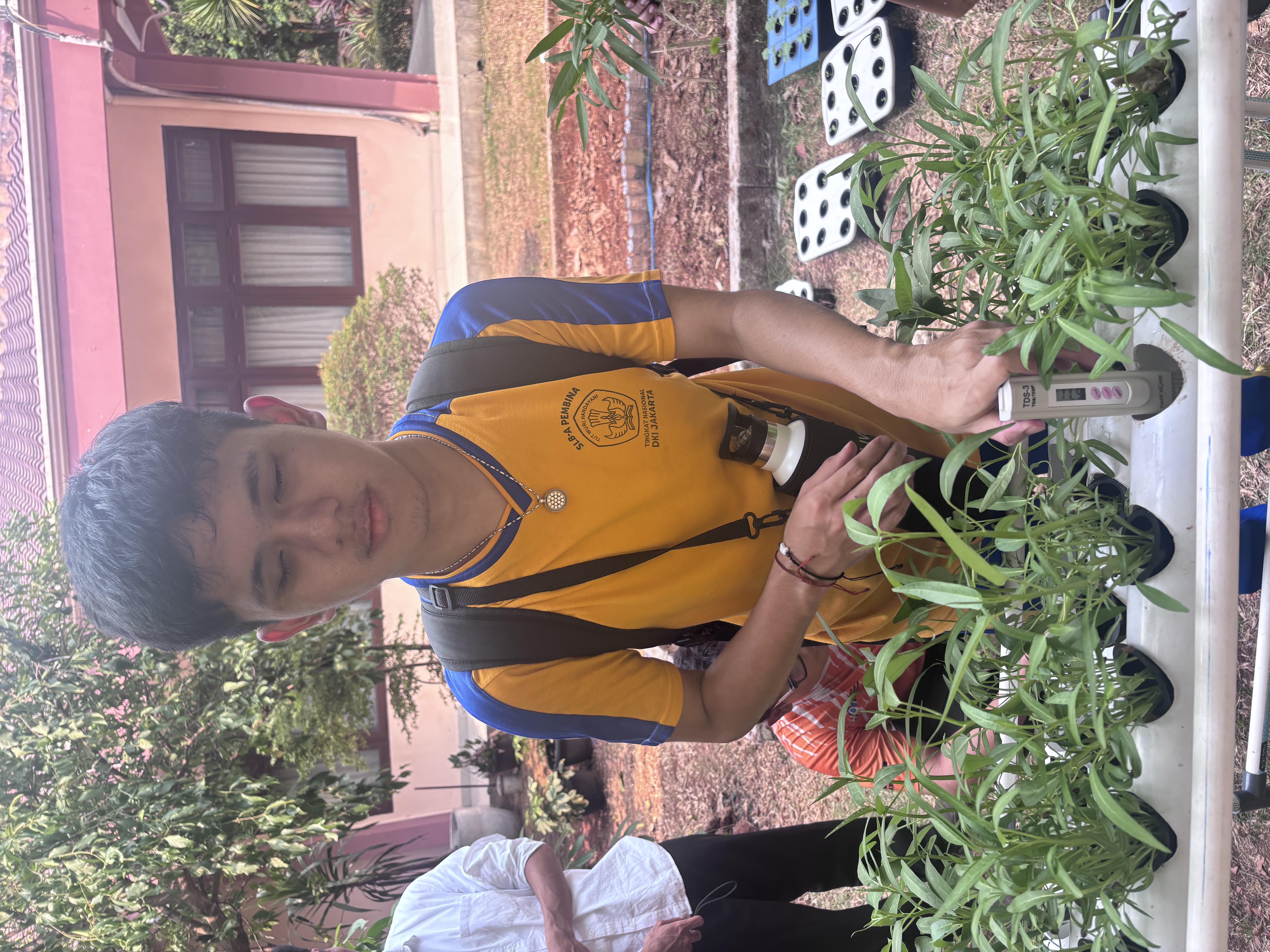 Lahan Urban Farming SLB A Pembina Tingkat Nasional - Gambar 115