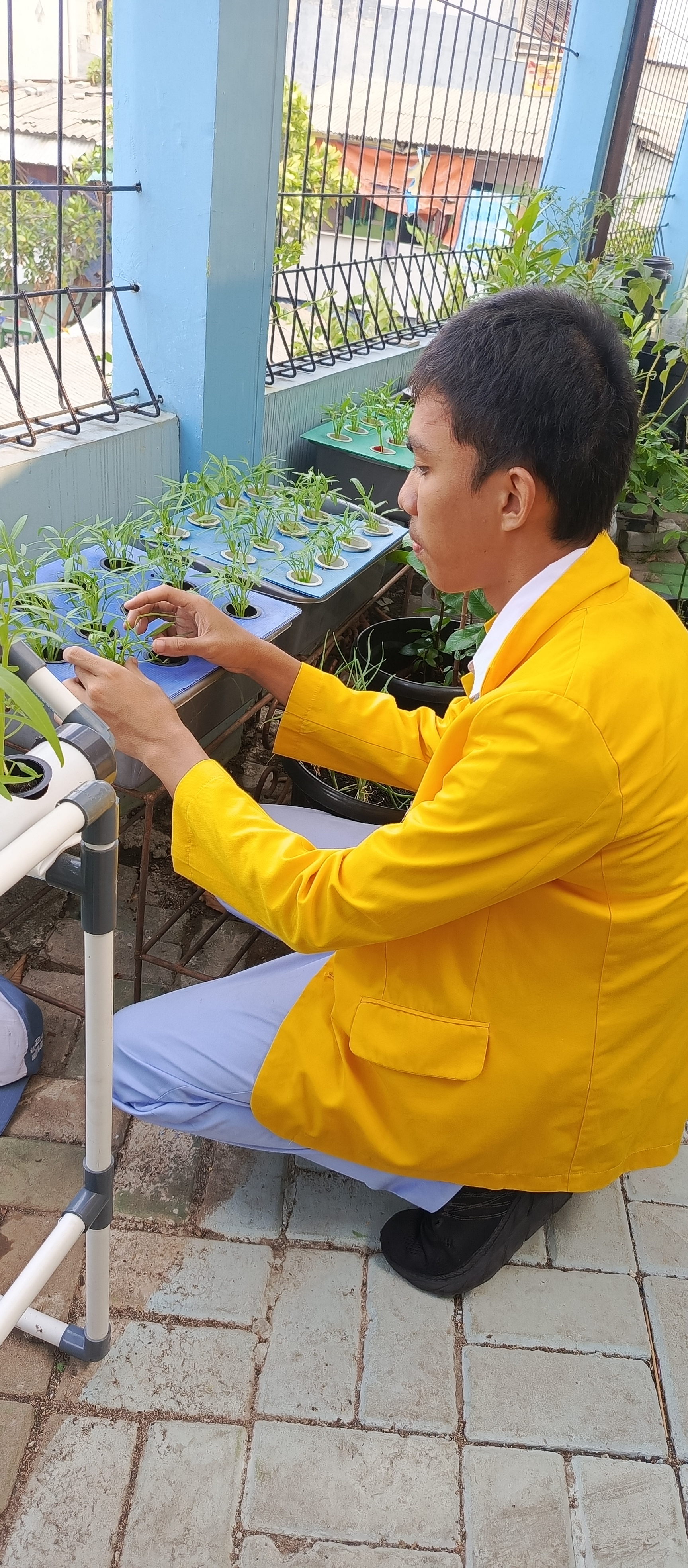 Lahan Urban Farming SMKN 43 Jakarta - Gambar 182