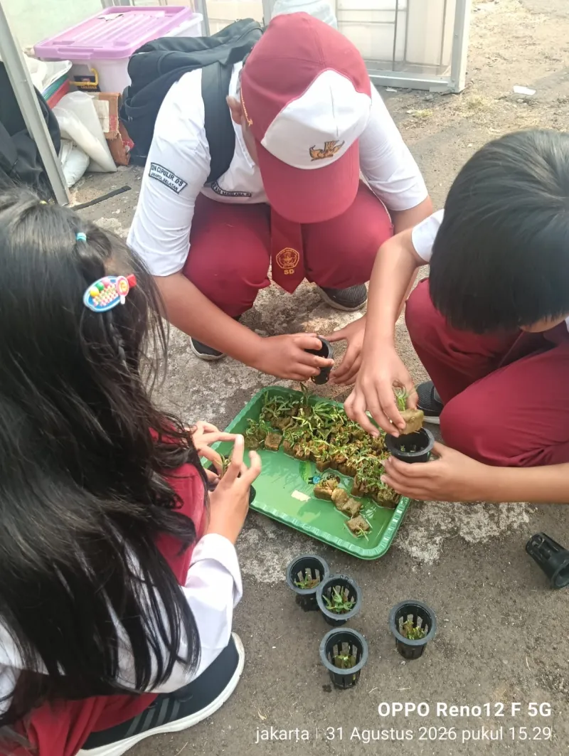 Lahan Urban Farming SDN Cipulir 03 - Gambar 63