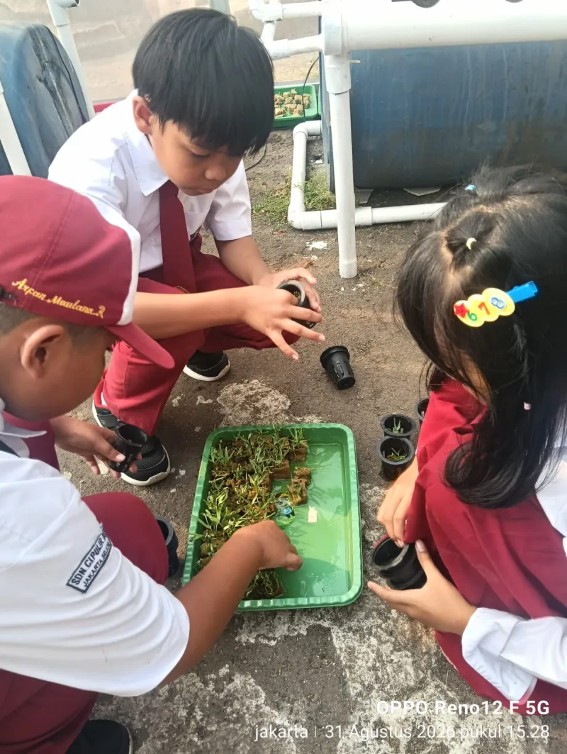 Lahan Urban Farming SDN Cipulir 03 - Gambar 62