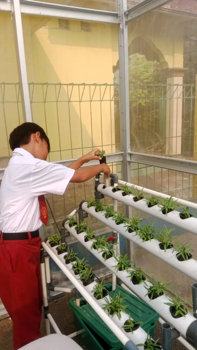 Lahan Urban Farming SDN Cipulir 03 - Gambar 65