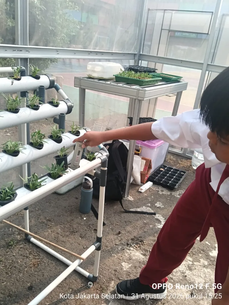 Lahan Urban Farming SDN Cipulir 03 - Gambar 64