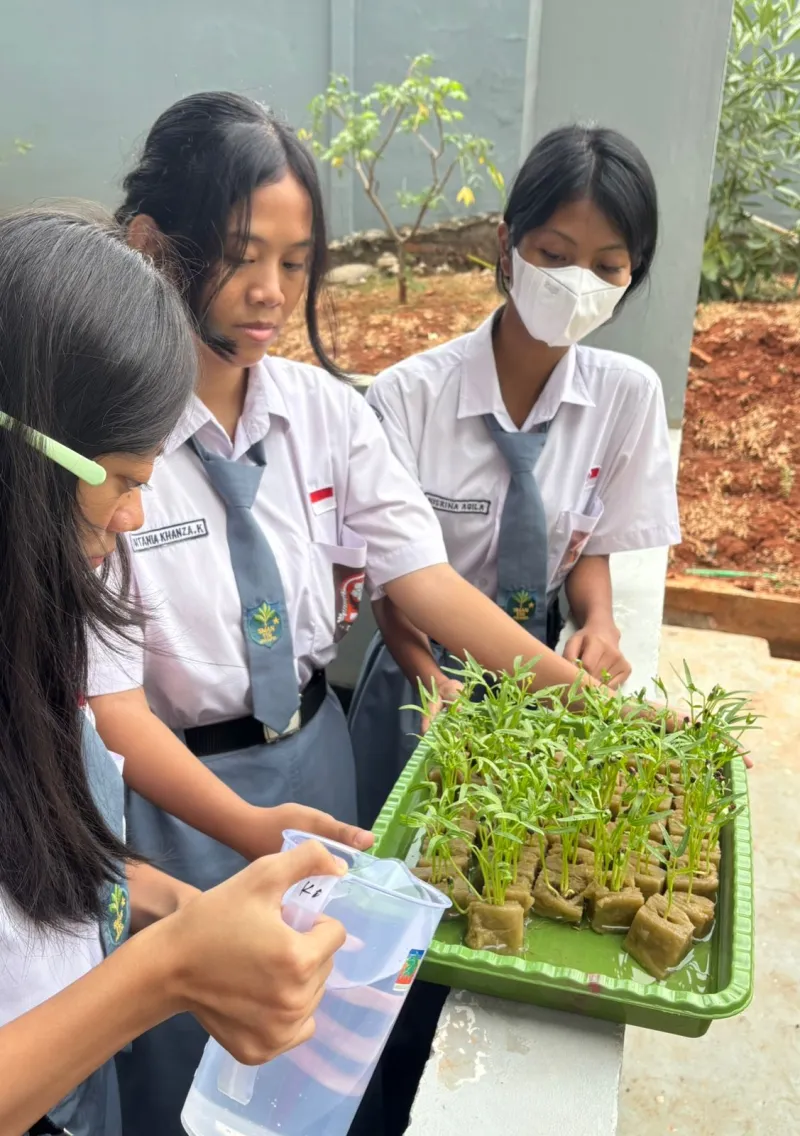 Lahan Urban Farming SMAN 116 Jakarta - Gambar 130