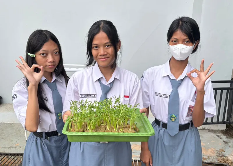 Lahan Urban Farming SMAN 116 Jakarta - Gambar 128
